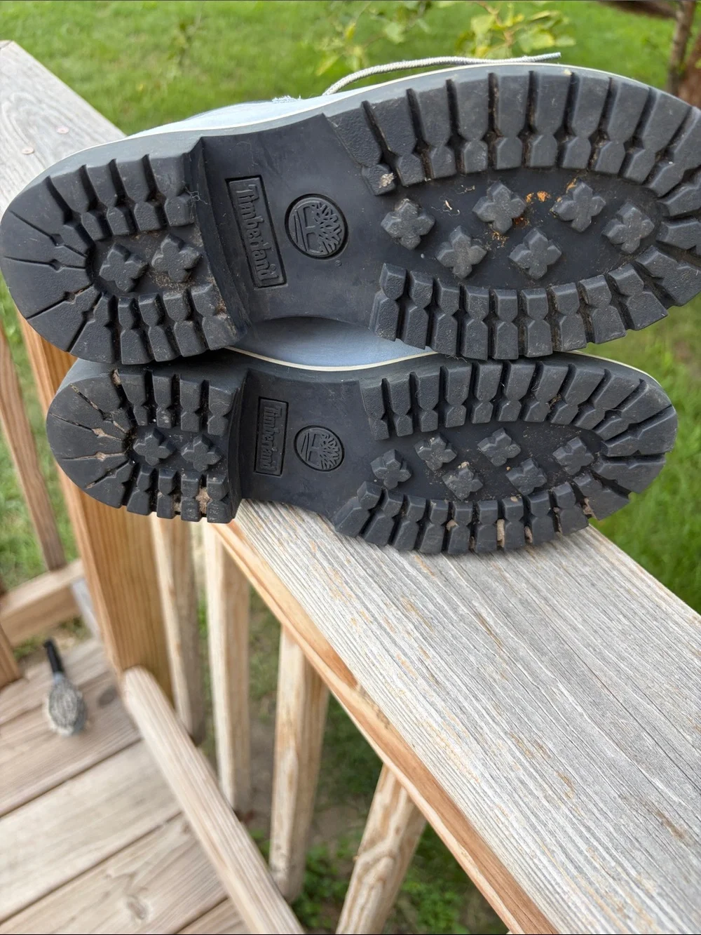 Timberland Boy’s Light Gray Chukka Boots with Black Collar 6.5